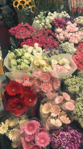 Sau này có người yêu nhất định dẫn cô ấy đi ngắm hoa mỗi ngày #xuhuong #xh #Love 