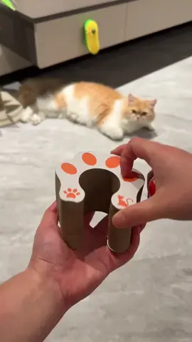 🐱Link is in bio #catbed #catlover #cattoys #kitten #yourcat #funny #funnycats #shorts #cat #catshorts #bestpettoys #cutecat #catoftheday #catoftheworld #cattomemes #catofinsta #meow