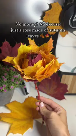 🍂🍁it is this easy🍁🍂 #DIY #flower #nature #autumn #gift 