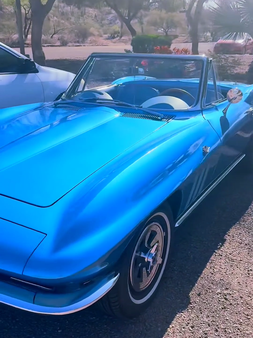 Corvette Stingray. #blacktopoutlaw #carsoftiktok #corvette #stingray #mint 