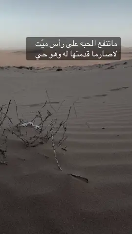 #الاحيوات_ولنا_في_قمه_المجد_رايات✌️ 