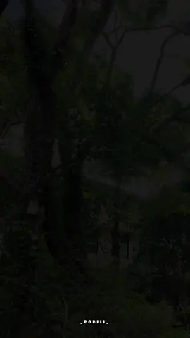 Yacaiiii...😞👍🏻