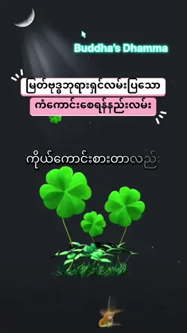 မြတ်ဗုဒ္ဓညွှန်ကြားပြသသောစီးပွါးရှာရန်နည်းလမ်း#buddha #ပါချုပ်ဆရာတော်ဘုရားကြီး၏အဆုံးအမ #တရားတော်များ #foryoupage #fyppppppppppppppppppppppp 