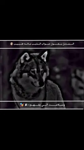 #تصميم_فيديوهات🎶🎤🎬 #صِےـلےـوِحًےـ،، #مصمم؛ 