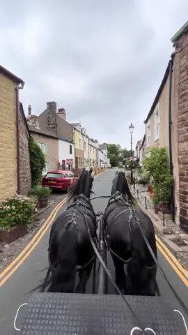Freddy and Murphy taking a trip into Heysham Village #friesian #stallions #fyp #foryou #horses 