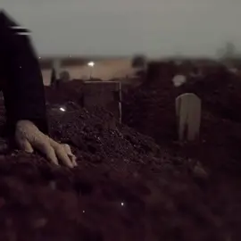 থাকবেন তো।❤️‍🩹🫀🤲 #talesofadnan #islamicvideo #আবু_ত্বহা_মুহাম্মদ_আদনান👳 #foryou 