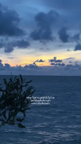 เข้าหาไม่ยากแต่เข้าถึงไม่ง่าย ใครได้อยู่พื้นที่ส่วนตัว แปลว่าฉันเลือกแล้ว #เธรด #สตอรี่ความรู้สึก #ฟีดดดシ #fppppppppppppppppppp 