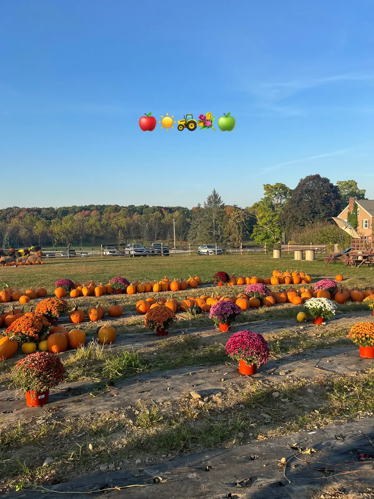 fotitos porque he estado enferma y no he podido grabar nada🥲