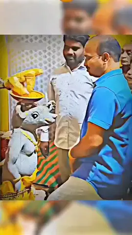 #viral #madima #allha #fy🥺🥺🥺 #viral 