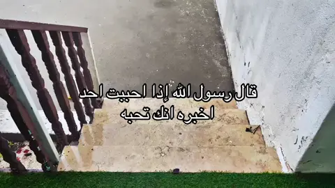 #fyppppppppppppppppppppppp قال رسول الله إذا احببت احد  اخبره انك تحبه #لايك__explor  #لايك_متابعه_اكسبلور  #قصايد_شعر  #تفاعلوا 