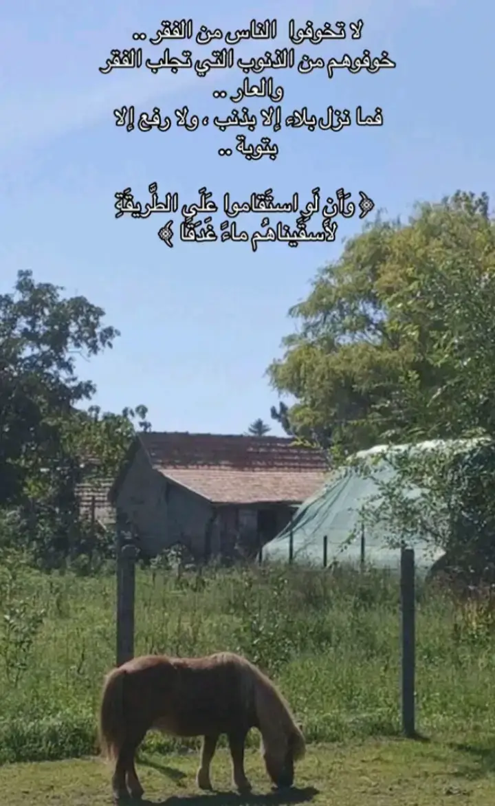 #صلاة #قران 