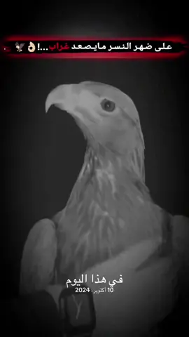 #في هذا اليوم #fy #foryou #fyp #ستوريات 