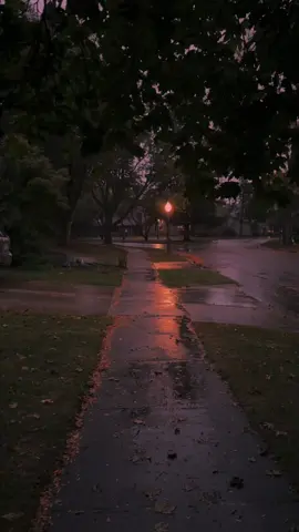 quiet evening walk 😌 #fyp #ambient #rain #liminal #nostalgia 