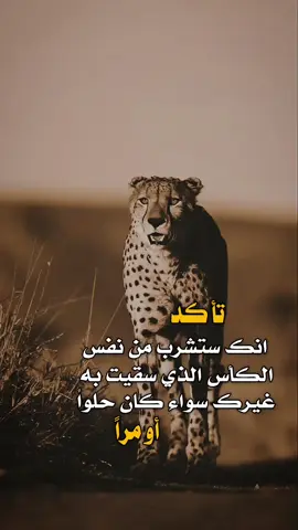 تاكد انك 👌✋ #مساء_الخير #عبارات #اكسبلور 