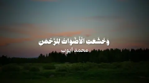 #محمد_ايوب  | #سورة_طه 