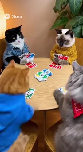 UNO Night Gone Wrong: The Claws Came Out 🐾🔥 #cats #GameNight 