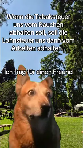 #Meme #CapCut #lustig #fürdich #haha 
