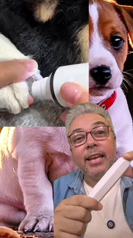 ROEDOR DE UNHAS PARA GATO E CACHORRO. #TikTokSop #gato #cachorro #pet 