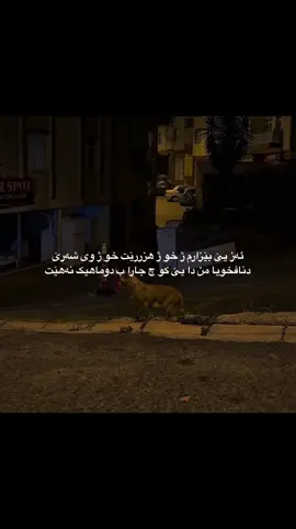 9:19🖤~#fyp #foryou #like #duhok #zaxo 