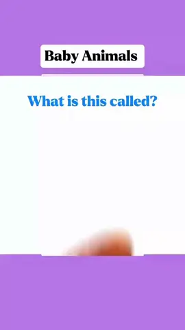 #spokenenglish #easyenglish #aprenderingles #teacher #s 