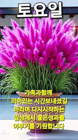 연휴동안 수고많으셨어요 ~~몸도마음도 편한쉼되는 행복한 주말보내세요 💝💝💝