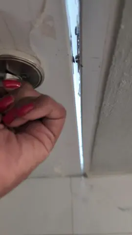 los buenos días de #micha  #migato #cat #catsoftiktok 