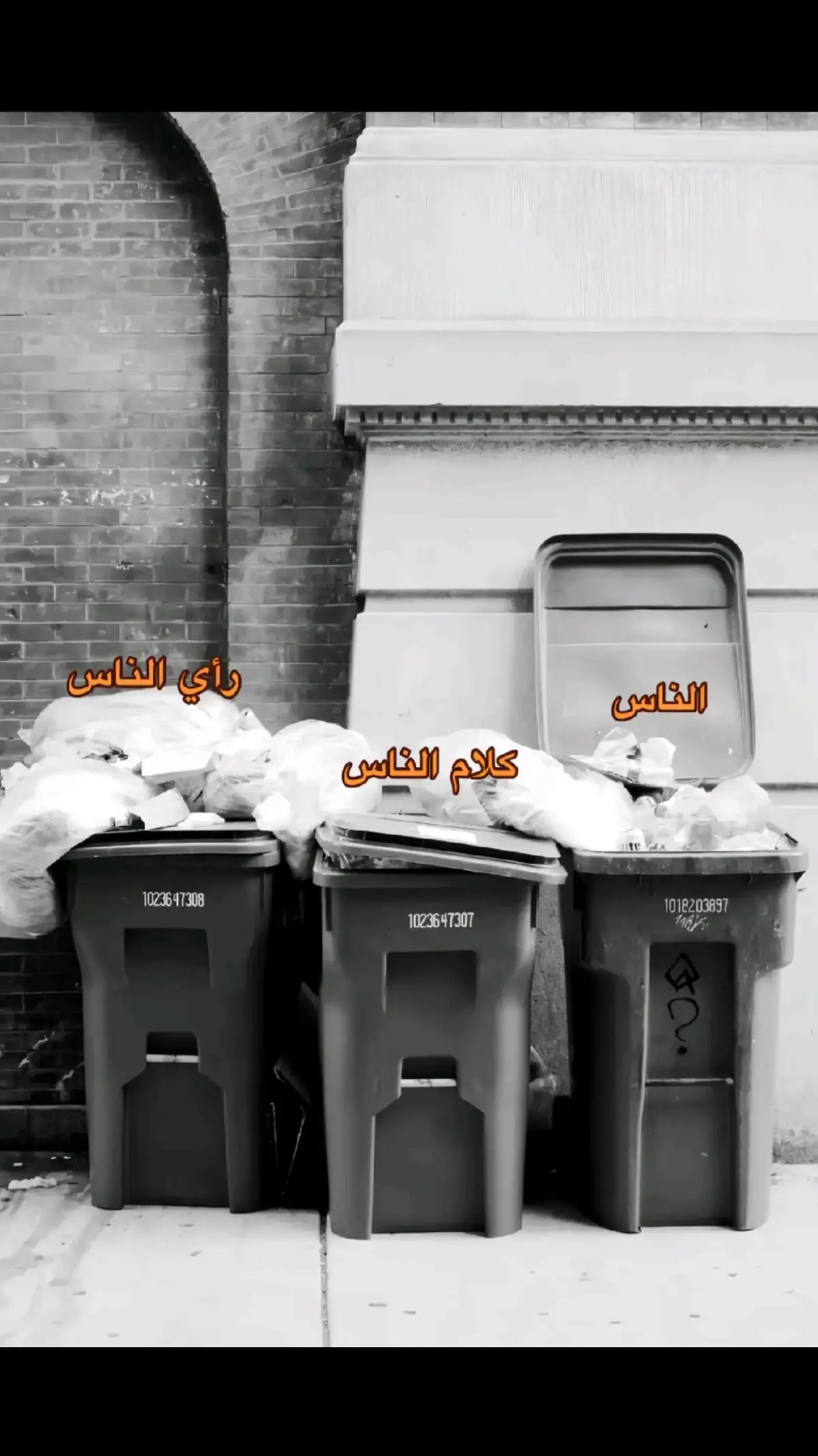 دبلعوو🤣🤣. 