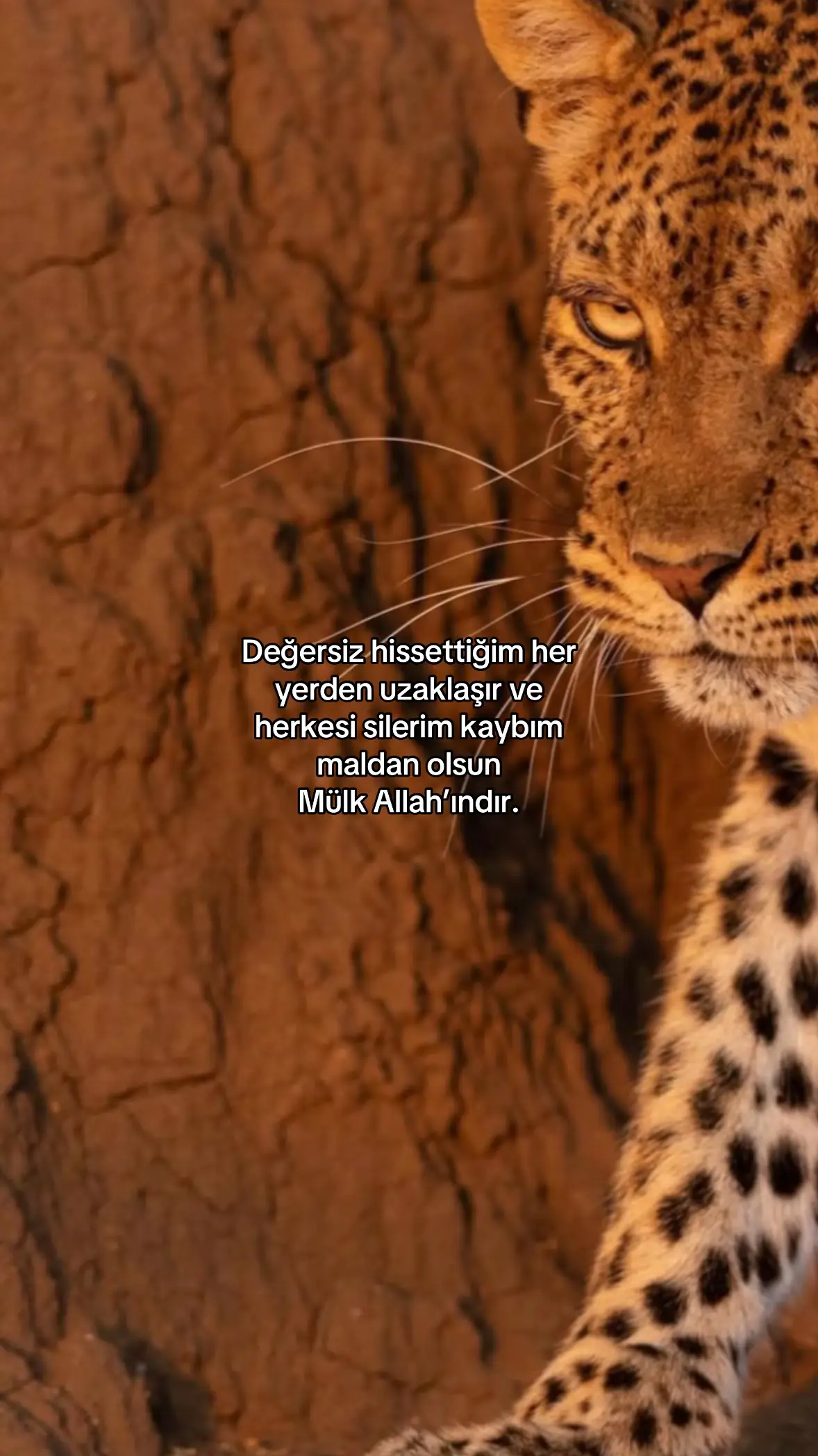 #fyppppppppppppppppppppppp #fy #viraltiktok #keşfet 