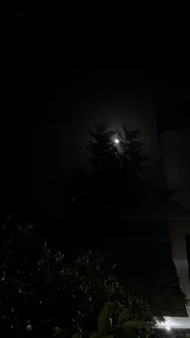 چاند کی رانائیوں میں یہ راز مستور ہے کہ خوبصورت وہی ہے جو دسترس سے دور ہے۔ 🌙 #tiktok #fyp #sawaira030 