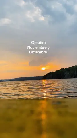 No dejes pasar la oportunidad de apreciar los atardeceres de fin de año 🧡🌅 #fypシ゚ #atardecer #yaxhapeten  #lagunayaxha 