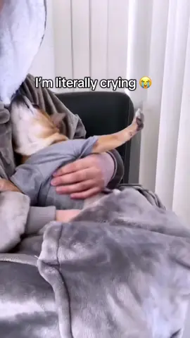 Wait until the end 😭  #dog #thermafleece #heatedhoodie #giftideas #christmas2025 