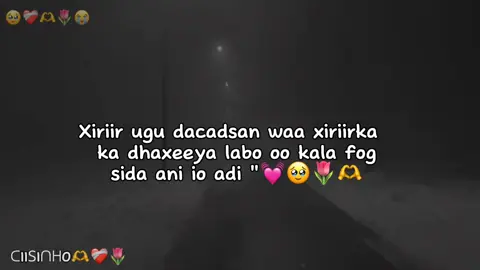 #foryoupage #fyp #somalitiktok #viral #fyppppppppppppppppppppppp 