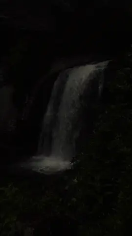 My best videos I’ve captured from the past couple months 🙏#nature 