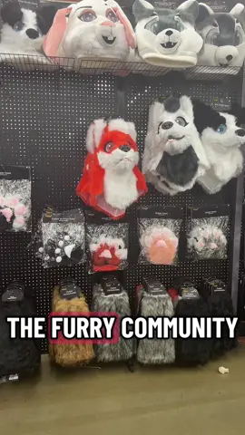 @Spirit Halloween I’m so disappointed 😔😂😂#furry #furrytiktok #furrycommunity #culturenotcostume 
