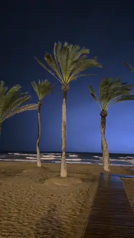 ⚡️⛈️🌴🌊💨#chavalLife #fyp #viral #foryou #tiktok 