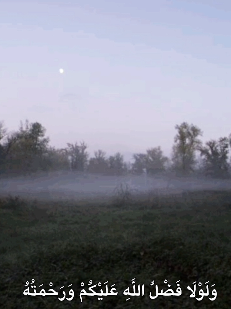 جزء 43 ﴿سورة النور﴾ محمد صديق المنشاوي  . . . #قران #سورة_النور #المنشاوي #fyp #foryoupage 