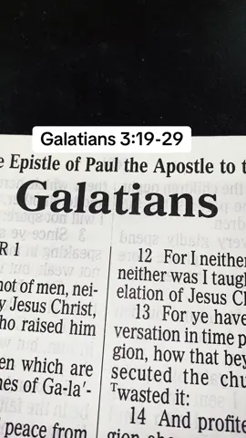 #TheLordJesusChrist #Messiah #GospelKJV #ScriptureReadingFYP #ThePrinceOfPeace 