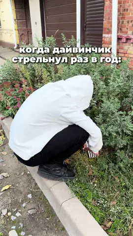 худи в тгк: dsm_icons