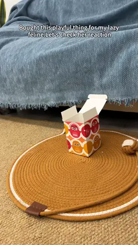 Over 803K peoples' common choices, it sells well on Amazon, and now it's half price on Tiktok, and I also recommended this lovely toy to my bestie Hazel #flappingbirdtoy #catsoftiktok #catsoftiktok #cattoys #cats 