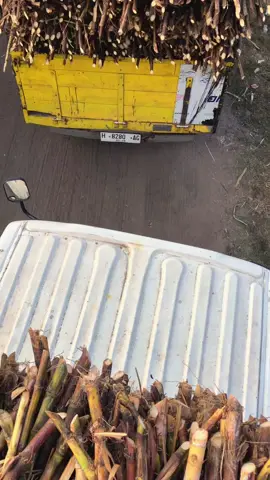 antrian e jan nda nguati moakkkl#penbangtebu #sopirsessss #pgmojosragen #teburace #fyp 