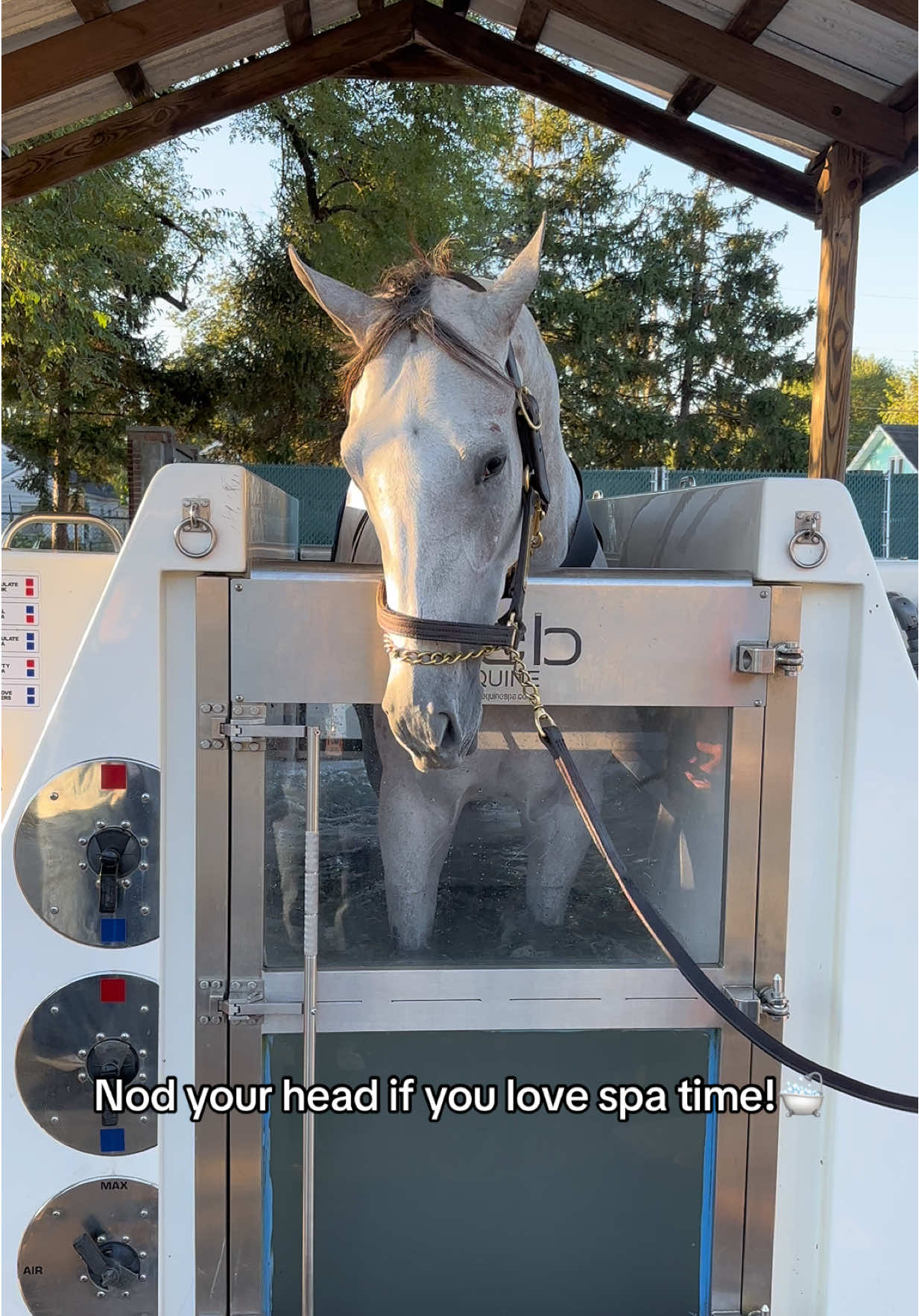 If you need me, I’ll be at the spa🙂‍↕️ #SelfCare #FunnyAudio #Spa #Fall #Horse 