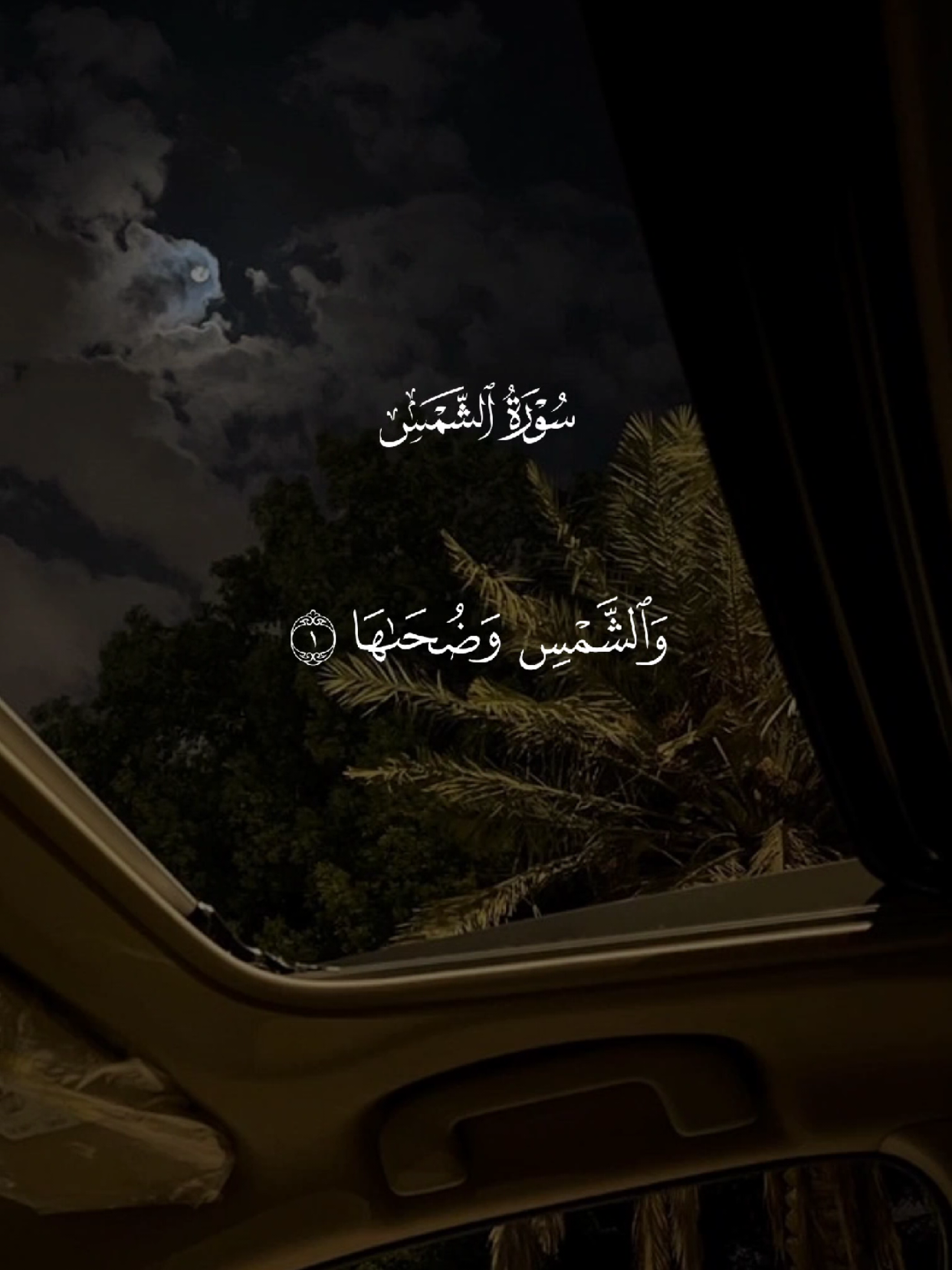 سورة الشمس 🤍 #قران #quran #قران_كريم #quran_alkarim #القران_الكريم 