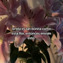 siiiii 🌺 #parati #catlover #goodvibess_xd 