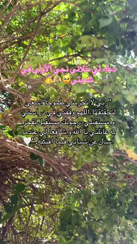 #الشعب_الصيني_ماله_حل😂😂 #قران_كريم_ارح_سمعك_وقلبك #دعاء #دعاء_عظيم #دعاء_مستجاب #دعاء_دراسة #ادعية_اسلامية_تريح_القلب #دراسة #توفيق #تفوق_بنجاحك #الاول #الاوائل #معجزة #اسلام #دين #bac2026 #bac2026🎓📖📔📚📑💡yes_we_can_do_it #bac2026_nchallah🔥🔥🙏 #bac2025 #fyppppppppppppppppppppppp #trend #exlpore #بعد_سنوات 