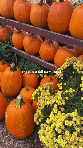 had to pull over on my drive home bc this was adorable!! #fall #pumpkinpatch #norcal #farmstand #pumpkin 