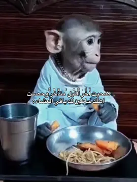 #اكسبلور #fyp 