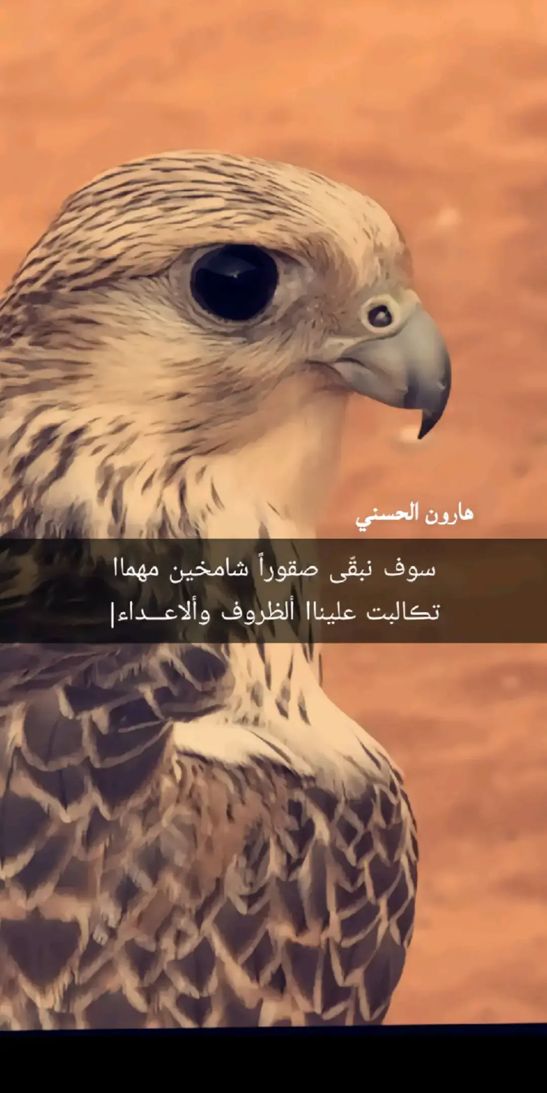 #تاريخ_صقر #لا_تهاب_النخاطر #سبع_اليل_الشمالي_الحساب_الرسمي، 