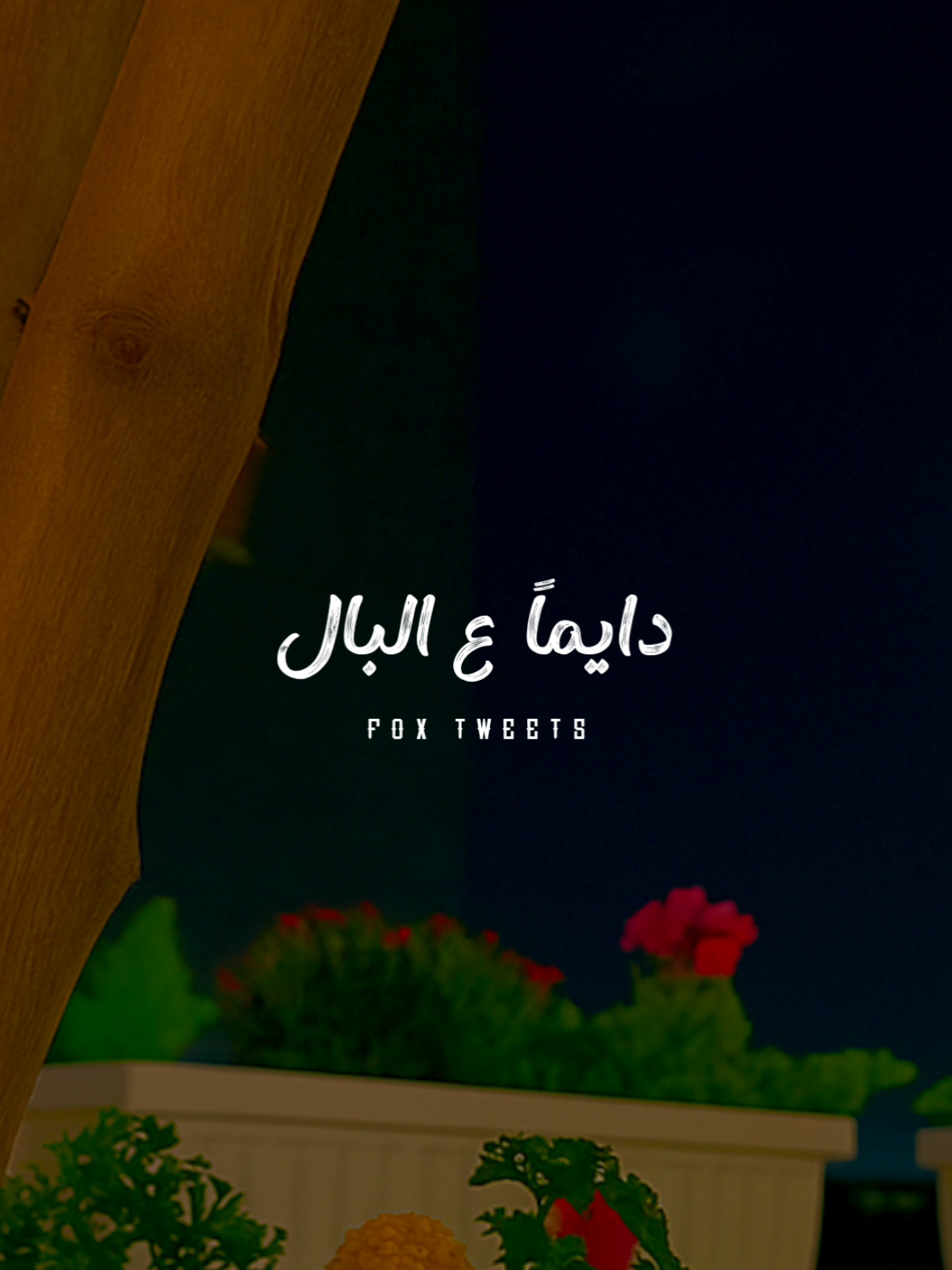 مشغول انا بيك يا غزال 💗 #CapCut #fpy #fpyシ #foryou #رومانسي @زياد السلطان👑 