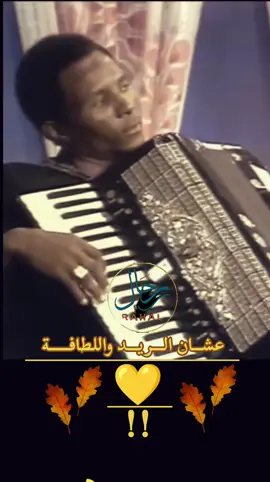 #رحال_على_كف_القدر🤍🇸🇩🤍 #هاشم_ميرغني #اغاني_سودانية #سودانيز_تيك_توك_مشاهير_السودان #سودانيز_تيك_توك_مشاهير_السودان🇸🇩 