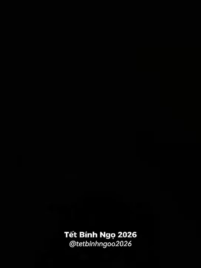 Ngoài đường đông vui Tràn ngập bao tiếng ca...#tet2026 #happynewyear2026 #tetbinhngo2026 #xuan2026 #chucmungnammoi2026